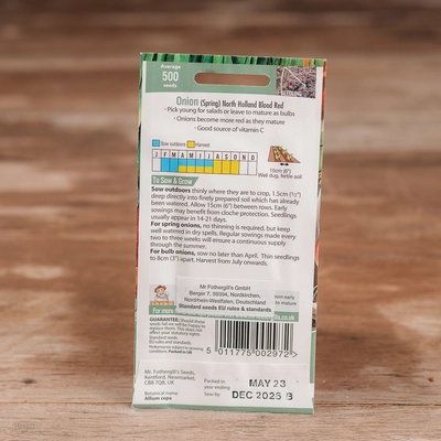 Onion (Spring) North Holland Blood Red - image 2