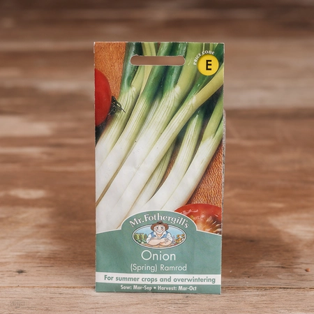 Onion (Spring) Ramrod - image 1