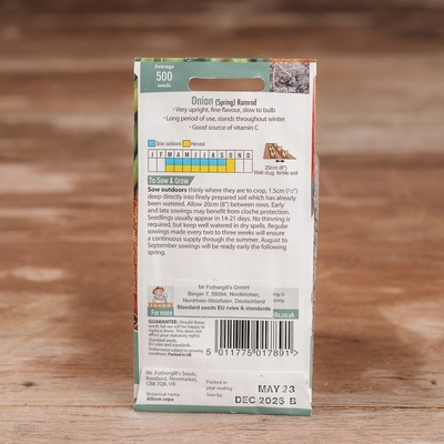 Onion (Spring) Ramrod - image 2