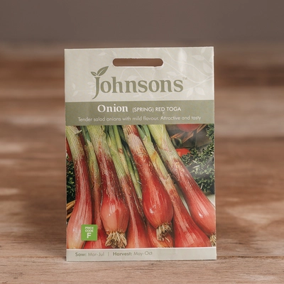 Onion (Spring) Red Toga