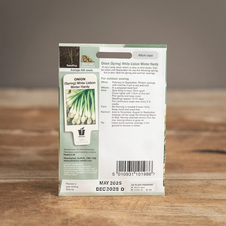 Onion (Spring) White Lisbon Winter Hardy - image 2