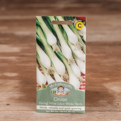 Onion (Spring) White Lisbon Winter Hardy - image 1