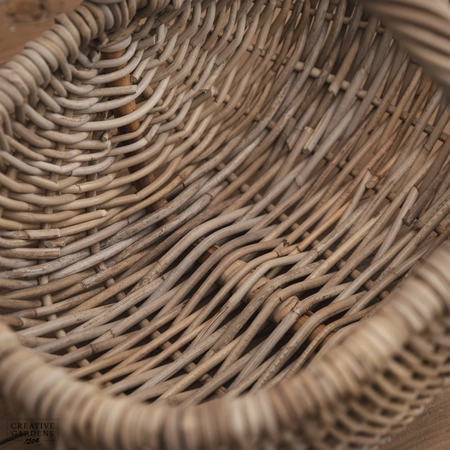 Oval Trug With Hoop Handle - image 4