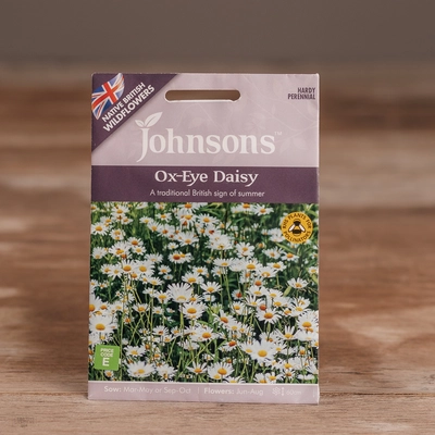 Ox-Eye Daisy - image 1