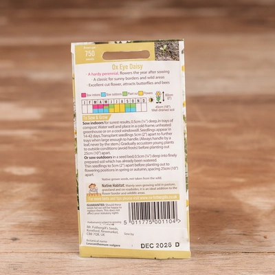 Ox Eye Daisy - image 2