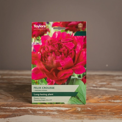 Paeonia Rosea Felix Crousse