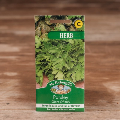 Parsley Giant Of Italy - image 1