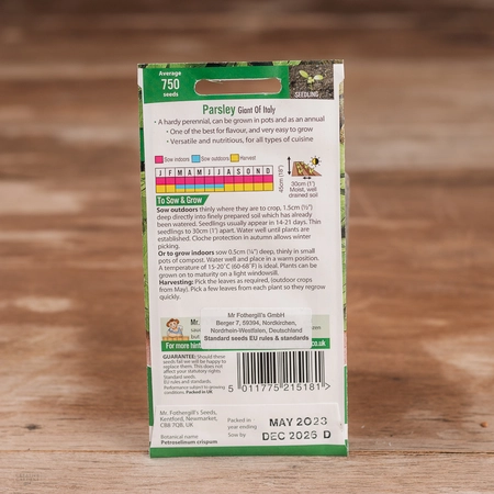 Parsley Giant Of Italy - image 2