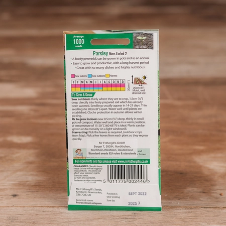 Parsley Moss Curled 2 - image 2