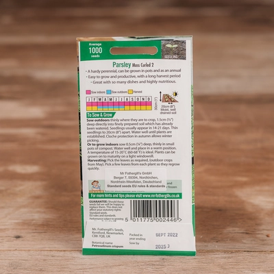 Parsley Moss Curled 2 - image 2