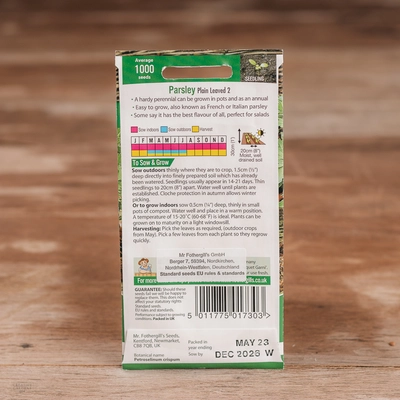 Parsley Plain Leaved 2 - image 2