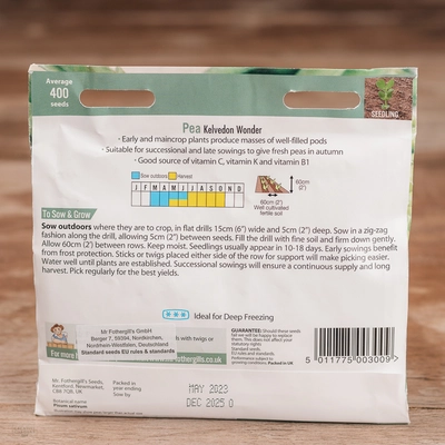 Pea Kelvedon Wonder - image 2
