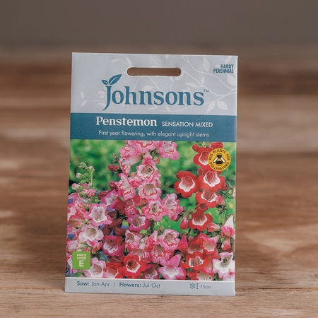 Penstemon Sensation Mix - image 1