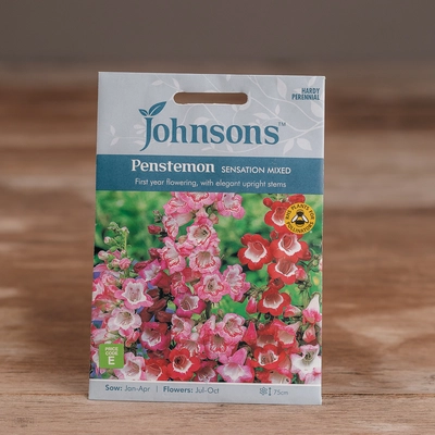 Penstemon Sensation Mix - image 1