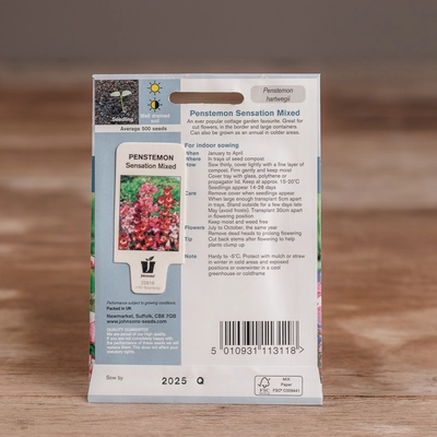 Penstemon Sensation Mix - image 2