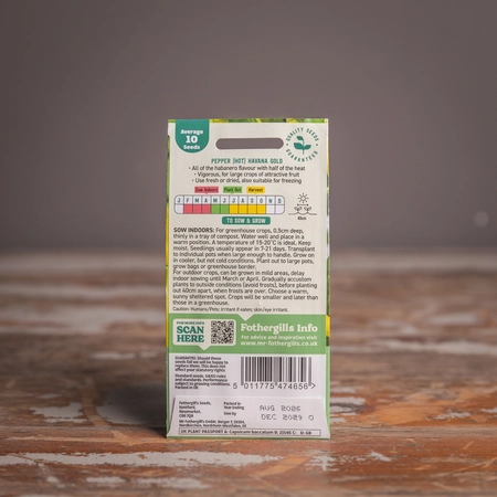 Pepper (Hot) Havana Gold - image 2