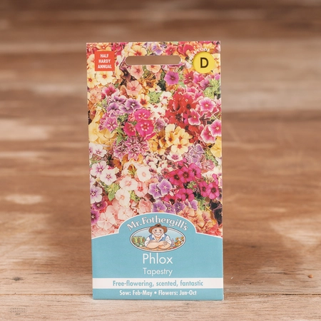 Phlox Tapestry - image 1