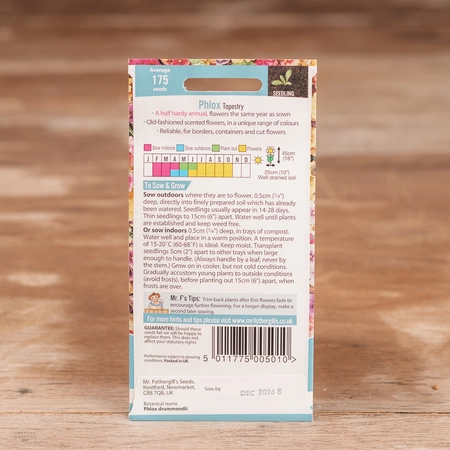 Phlox Tapestry - image 2