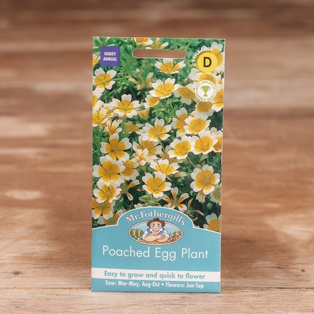 Poached Egg Plant - image 1