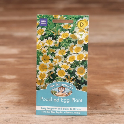 Poached Egg Plant - image 1