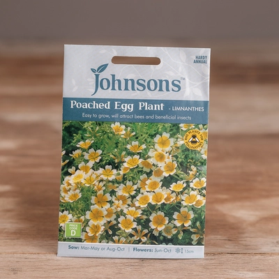 Poached Egg Plant - Limnanthes - image 1