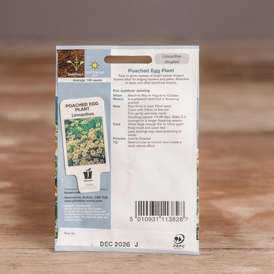 Poached Egg Plant - Limnanthes - image 2