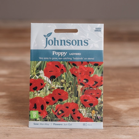 Poppy Ladybird - image 1