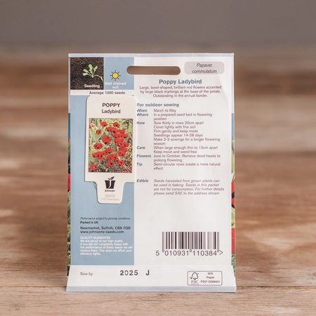 Poppy Ladybird - image 2