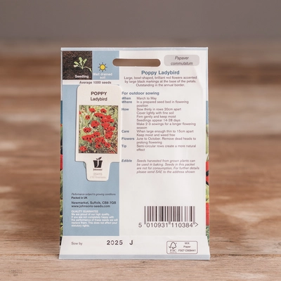 Poppy Ladybird - image 2