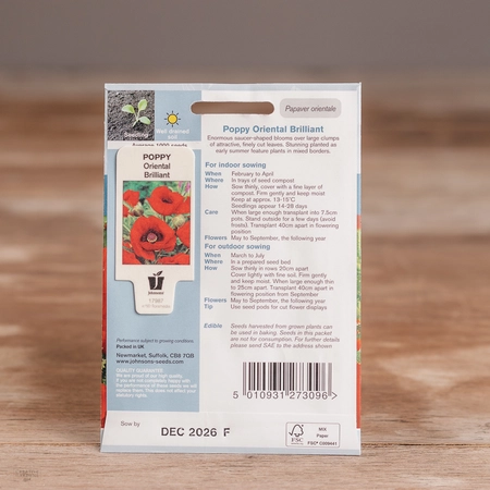 Poppy Oriental Brilliant - image 2