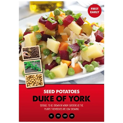 Potato Duke of York 10pk