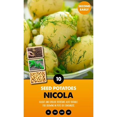 Potato Nicola 10pk