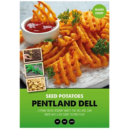 Potato Pentland Dell 2KG