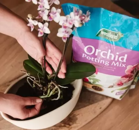 Orchid Potting Mix 4 Litre