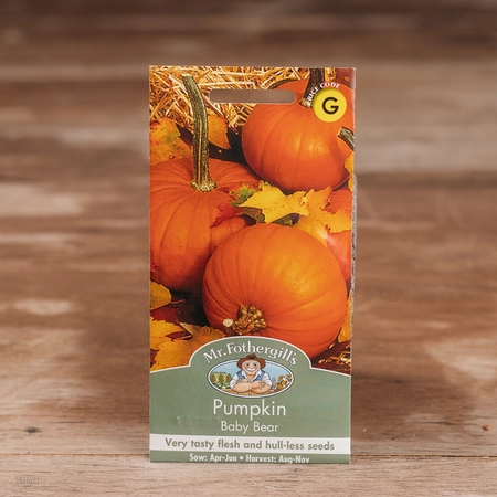 Pumpkin Baby Bear - image 1