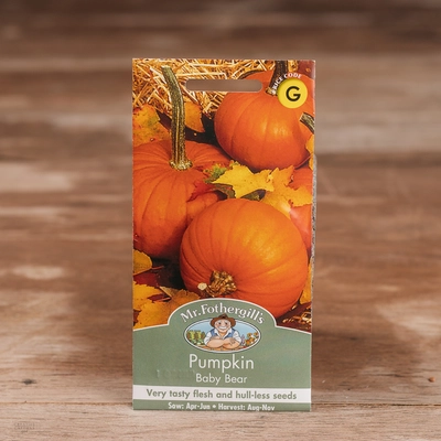 Pumpkin Baby Bear - image 1