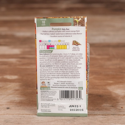 Pumpkin Baby Bear - image 2