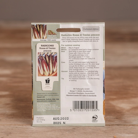 Radicchio Rossa Di Treviso Precoce - image 2