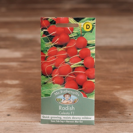 Radish Celesta F1 - image 1