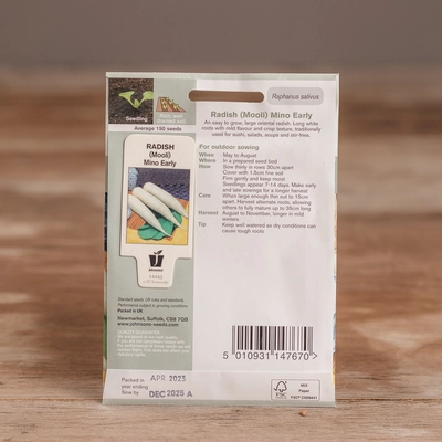 Radish (Mooli) Mino Early - image 2