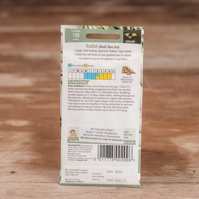 Radish (Mooli) Mino Early - image 2