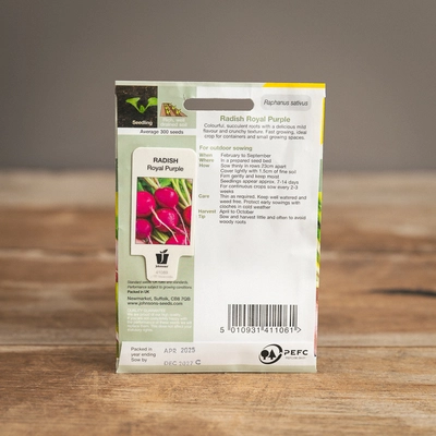 Radish Royal Purple - image 2