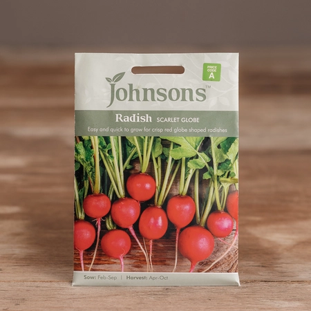 Radish Scarlet Globe - image 1