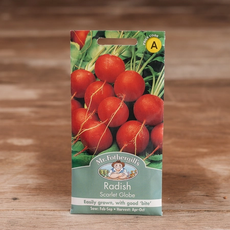 Radish Scarlet Globe - image 1
