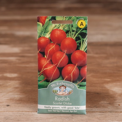 Radish Scarlet Globe - image 1