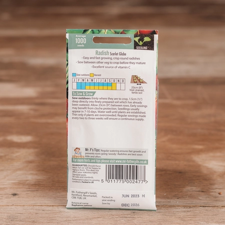 Radish Scarlet Globe - image 2