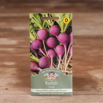 Radish Viola - image 1