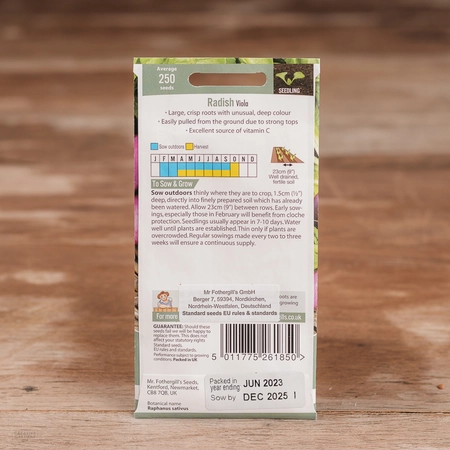 Radish Viola - image 2