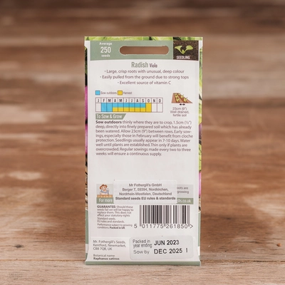 Radish Viola - image 2