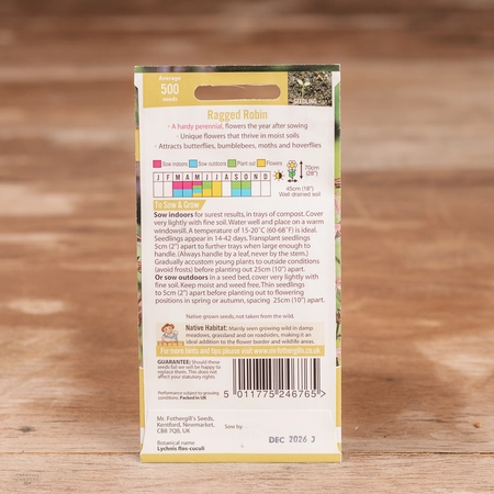 Ragged Robin - image 2